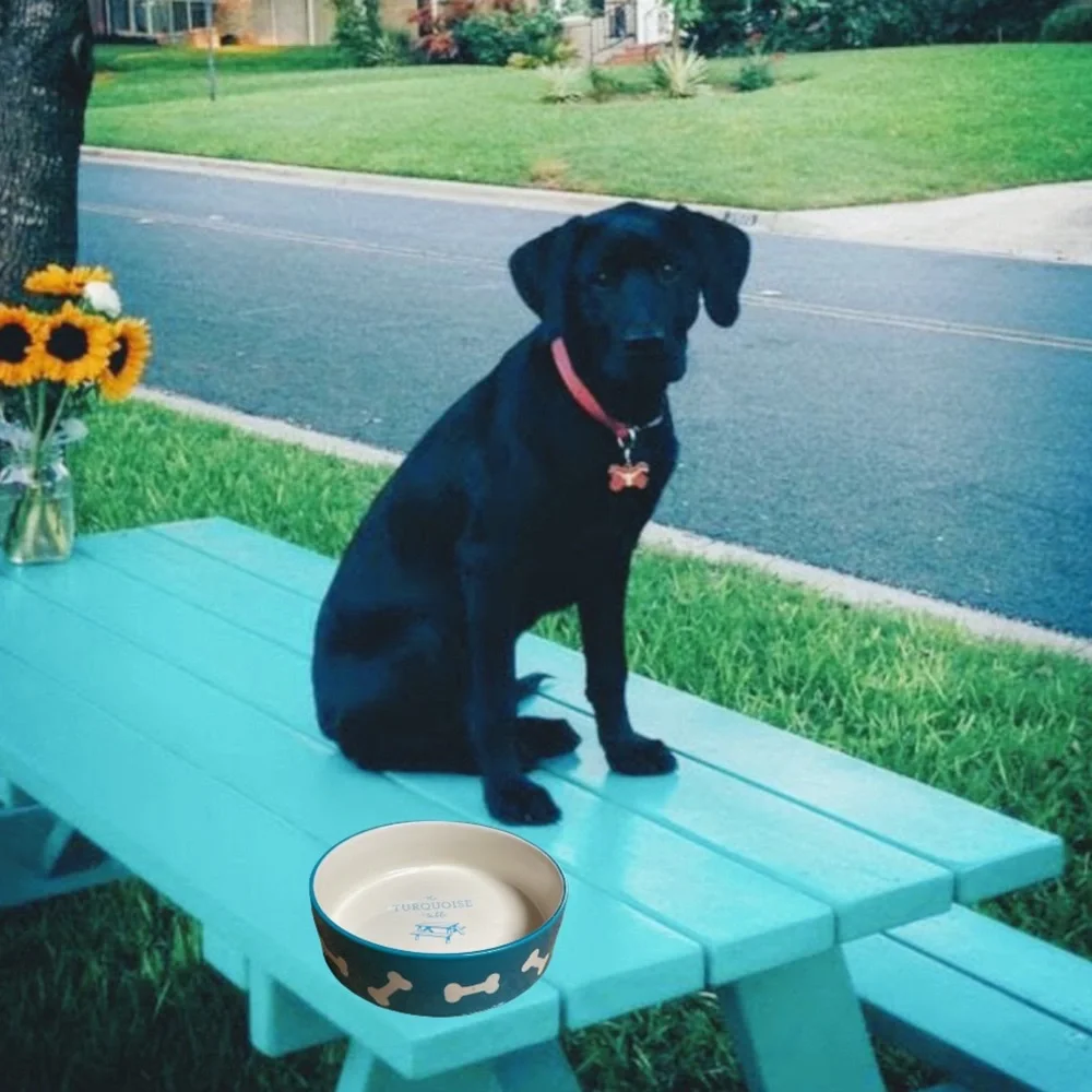 The Turquoise Table, The Turquoise Dog Bowl